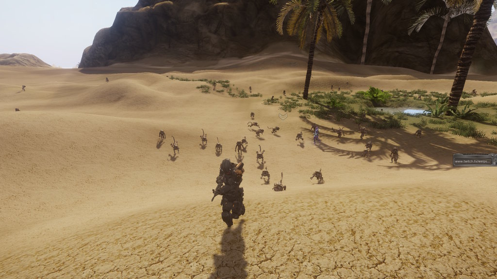 Next Island Community