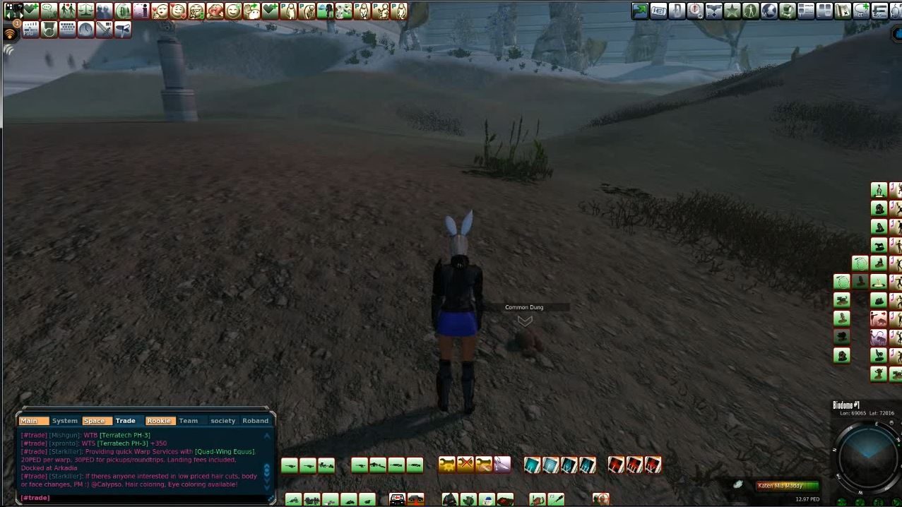 An avatar with bunny ears in a sandy landscape, standing next to a pile of common dung, with a detailed user interface at the bottom.